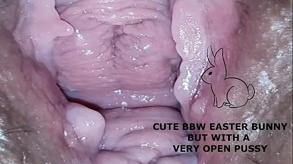 HD Cute bbw bunny, but with a very open pussy 탑 튜브
